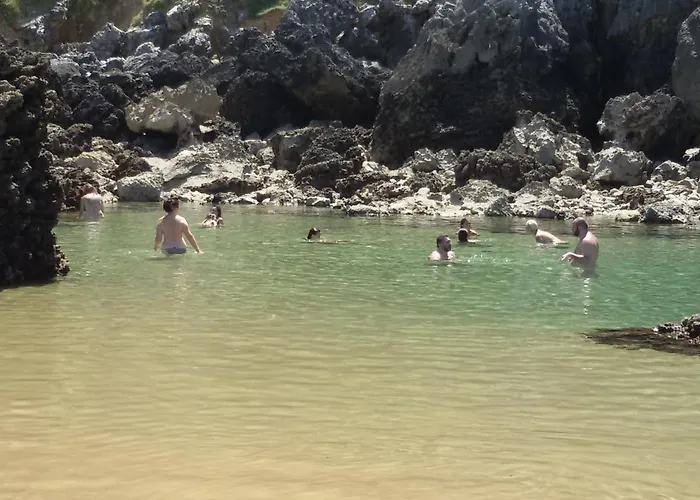 Playasonabia